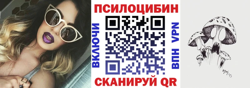 закладки  kraken зеркало  Галлюциногенные грибы Cubensis  Ржев 